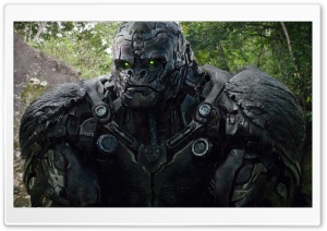 Transformers Rise of the Beasts Movie - Gorilla Ultra HD Wallpaper for 4K UHD Widescreen desktop, tablet & smartphone