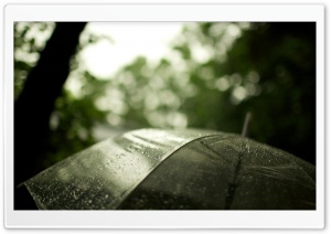 Transparent Umbrella Ultra HD Wallpaper for 4K UHD Widescreen desktop, tablet & smartphone