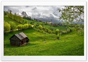 Transylvania Green Field Ultra HD Wallpaper for 4K UHD Widescreen Desktop, Lockscreen, Screensaver, TV, Tablet, Smartphone