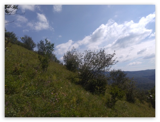 Traveling to Zagradski vrh N 45 13 39.8 E 14 46 49.1 UltraHD Wallpaper for Fullscreen 4:3 ;