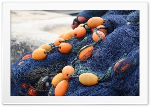 Trawl 4K UHD Wallpaper for Widescreen and UltraWide Desktop, UltraHD TV, Smartphone, Tablet