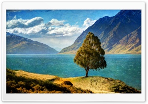 Tree By The Lake Ultra HD Wallpaper for 4K UHD Widescreen desktop, tablet & smartphone