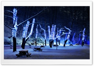 Tree Lighting Ultra HD Wallpaper for 4K UHD Widescreen desktop, tablet & smartphone