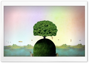 Tree On A Head Ultra HD Wallpaper for 4K UHD Widescreen desktop, tablet & smartphone