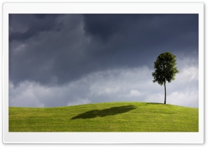Tree On The Hill Ultra HD Wallpaper for 4K UHD Widescreen desktop, tablet & smartphone