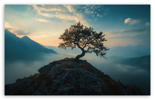 Tree on the Top of the Mountain UltraHD Wallpaper for UHD 16:9 ; HD 16:9 ; UltraWide 21:9 24:10 ; Widescreen 16:10 5:3 ; Fullscreen 4:3 5:4 3:2 ; Tablet 1:1 ; Mobile 9:16 10:16 2:3 3:5 3:4 ;