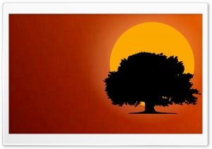 Tree Silhouette Ultra HD Wallpaper for 4K UHD Widescreen desktop, tablet & smartphone