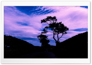 Tree Silhouette, Blue Sky, Clouds Ultra HD Wallpaper for 4K UHD Widescreen desktop, tablet & smartphone