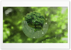 Tree Sphere Ultra HD Wallpaper for 4K UHD Widescreen desktop, tablet & smartphone