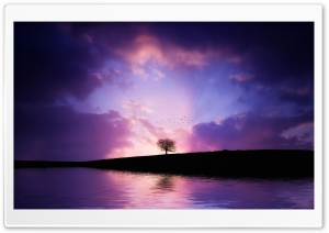 Tree Sunset Ultra HD Wallpaper for 4K UHD Widescreen desktop, tablet & smartphone