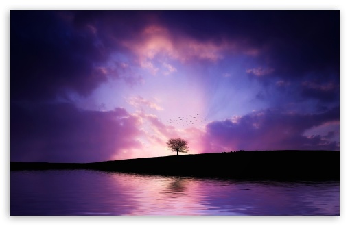 Tree Sunset UltraHD Wallpaper for 8K UHD TV 16:9 Ultra High Definition 2160p 1440p 1080p 900p 720p ; Widescreen 16:10 5:3 WHXGA WQXGA WUXGA WXGA WGA ; Fullscreen 4:3 5:4 3:2 UXGA XGA SVGA QSXGA SXGA DVGA HVGA HQVGA ( Apple PowerBook G4 iPhone 4 3G 3GS iPod Touch ) ; Tablet 1:1 ; Mobile 3:5 3:4 - ;