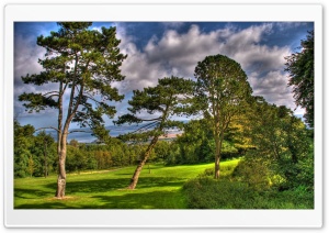 Trees At Summer, HDR Ultra HD Wallpaper for 4K UHD Widescreen desktop, tablet & smartphone
