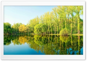Trees Lake Reflection Ultra HD Wallpaper for 4K UHD Widescreen desktop, tablet & smartphone