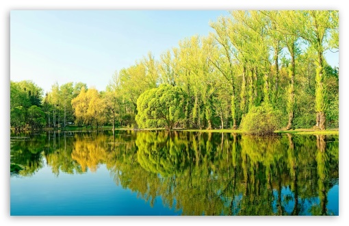 Trees Lake Reflection UltraHD Wallpaper for HD 16:9 ; UltraWide 32:10 ; Widescreen 16:10 5:3 ; Fullscreen 4:3 5:4 3:2 ; Tablet 1:1 ; Mobile 3:5 3:4 ; Dual 16:10 5:3 16:9 4:3 5:4 ;