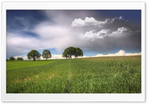 Trees On Fields Clouds Ultra HD Wallpaper for 4K UHD Widescreen desktop, tablet & smartphone