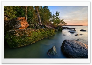 Trees On The Lakeside Ultra HD Wallpaper for 4K UHD Widescreen desktop, tablet & smartphone