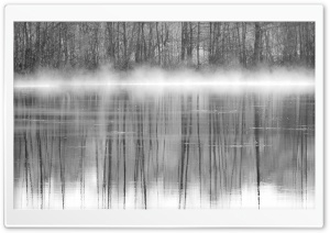 Trees Reflections In Water Black And White Ultra HD Wallpaper for 4K UHD Widescreen desktop, tablet & smartphone