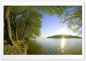Trees Shore Lake - Sunlight Ultra HD Wallpaper for 4K UHD Widescreen desktop, tablet & smartphone