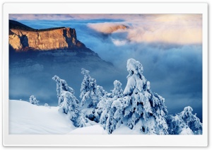 Trees Under Snow On The Rock Ultra HD Wallpaper for 4K UHD Widescreen desktop, tablet & smartphone