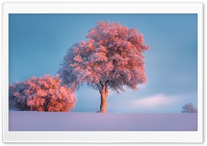 Trees, Winter, Pink Sunset Ultra HD Wallpaper for 4K UHD Widescreen desktop, tablet & smartphone