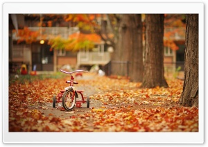 Tricycle Ultra HD Wallpaper for 4K UHD Widescreen desktop, tablet & smartphone