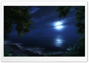 Tropic Night Ultra HD Wallpaper for 4K UHD Widescreen desktop, tablet & smartphone