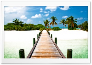 Tropical Ultra HD Wallpaper for 4K UHD Widescreen desktop, tablet & smartphone