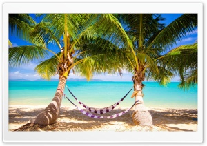 Tropical Beach Hammock Ultra HD Wallpaper for 4K UHD Widescreen desktop, tablet & smartphone