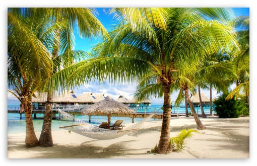 Tropical Beach Resort UltraHD Wallpaper for Wide 16:10 5:3 Widescreen WHXGA WQXGA WUXGA WXGA WGA ; 8K UHD TV 16:9 Ultra High Definition 2160p 1440p 1080p 900p 720p ; Standard 4:3 5:4 3:2 Fullscreen UXGA XGA SVGA QSXGA SXGA DVGA HVGA HQVGA ( Apple PowerBook G4 iPhone 4 3G 3GS iPod Touch ) ; Tablet 1:1 ; iPad 1/2/Mini ; Mobile 4:3 5:3 3:2 16:9 5:4 - UXGA XGA SVGA WGA DVGA HVGA HQVGA ( Apple PowerBook G4 iPhone 4 3G 3GS iPod Touch ) 2160p 1440p 1080p 900p 720p QSXGA SXGA ; Dual 16:10 5:3 16:9 4:3 5:4 WHXGA WQXGA WUXGA WXGA WGA 2160p 1440p 1080p 900p 720p UXGA XGA SVGA QSXGA SXGA ;