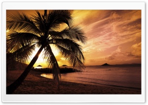 Tropical Beach Sunset Ultra HD Wallpaper for 4K UHD Widescreen desktop, tablet & smartphone