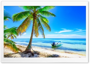Tropical Beach, Vacation Ultra HD Wallpaper for 4K UHD Widescreen desktop, tablet & smartphone