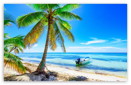 Tropical Beach, Vacation UltraHD Wallpaper for Wide 16:10 5:3 Widescreen WHXGA WQXGA WUXGA WXGA WGA ; UltraWide 21:9 24:10 ; 8K UHD TV 16:9 Ultra High Definition 2160p 1440p 1080p 900p 720p ; UHD 16:9 2160p 1440p 1080p 900p 720p ; Standard 4:3 5:4 3:2 Fullscreen UXGA XGA SVGA QSXGA SXGA DVGA HVGA HQVGA ( Apple PowerBook G4 iPhone 4 3G 3GS iPod Touch ) ; Tablet 1:1 ; iPad 1/2/Mini ; Mobile 4:3 5:3 3:2 16:9 5:4 - UXGA XGA SVGA WGA DVGA HVGA HQVGA ( Apple PowerBook G4 iPhone 4 3G 3GS iPod Touch ) 2160p 1440p 1080p 900p 720p QSXGA SXGA ;