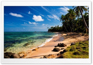 Tropical Beach With Grass Ultra HD Wallpaper for 4K UHD Widescreen desktop, tablet & smartphone