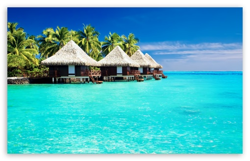 Tropical Bungalows UltraHD Wallpaper for Wide 16:10 5:3 Widescreen WHXGA WQXGA WUXGA WXGA WGA ; 8K UHD TV 16:9 Ultra High Definition 2160p 1440p 1080p 900p 720p ; UHD 16:9 2160p 1440p 1080p 900p 720p ; Standard 4:3 5:4 3:2 Fullscreen UXGA XGA SVGA QSXGA SXGA DVGA HVGA HQVGA ( Apple PowerBook G4 iPhone 4 3G 3GS iPod Touch ) ; Tablet 1:1 ; iPad 1/2/Mini ; Mobile 4:3 5:3 3:2 16:9 5:4 - UXGA XGA SVGA WGA DVGA HVGA HQVGA ( Apple PowerBook G4 iPhone 4 3G 3GS iPod Touch ) 2160p 1440p 1080p 900p 720p QSXGA SXGA ; Dual 16:10 4:3 5:4 WHXGA WQXGA WUXGA WXGA UXGA XGA SVGA QSXGA SXGA ;