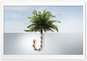 Tropical Christmas Ultra HD Wallpaper for 4K UHD Widescreen desktop, tablet & smartphone