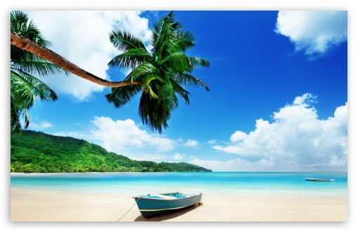 Tropical Escape UltraHD Wallpaper for UHD 16:9 ; HD 16:9 ; UltraWide 21:9 24:10 ; Widescreen 16:10 5:3 ; Fullscreen 4:3 5:4 3:2 ; Tablet 1:1 ; Mobile 9:16 9:19.5 9:20 9:21 9:22 10:16 2:3 3:5 3:4 ;