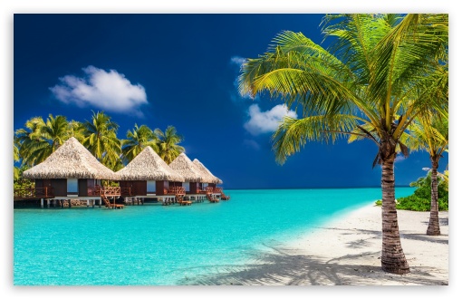 Tropical Escape Sun, Sand and Serenity UltraHD Wallpaper for UHD 16:9 ; HD 16:9 ; UltraWide 21:9 24:10 ; Widescreen 16:10 5:3 ; Fullscreen 4:3 5:4 3:2 ; Tablet 1:1 ;