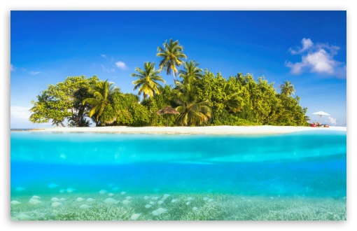Tropical, Island, Vacation, Coral Reef, Crystal Clear Water UltraHD Wallpaper for UHD 16:9 ; HD 16:9 ; UltraWide 21:9 24:10 32:9 32:10 ; Widescreen 16:10 5:3 ; Fullscreen 4:3 5:4 3:2 ; Tablet 1:1 ; Mobile 9:16 9:19.5 9:20 10:16 2:3 3:5 3:4 ; Dual 16:10 5:3 16:9 4:3 5:4 3:2 ;