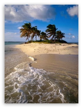 Tropical Island VGA Mobile UltraHD Wallpaper for Mobile 3:4 - ;