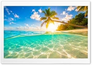 Tropical Paradise 4K UHD Wallpaper for Widescreen and UltraWide Desktop, UltraHD TV, Smartphone, Tablet
