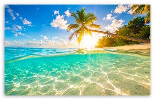 Tropical Paradise UltraHD Wallpaper for UHD 16:9 ; HD 16:9 ; UltraWide 21:9 24:10 32:10 ; Widescreen 16:10 ; Tablet 1:1 ; Mobile 9:16 9:19.5 9:20 9:21 9:22 ; Dual 16:10 ;