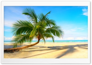 Tropical Summer Vacation 4K UHD Wallpaper for Widescreen and UltraWide Desktop, UltraHD TV, Smartphone, Tablet