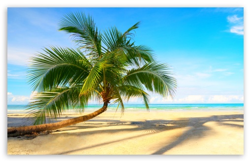 Tropical Summer Vacation UltraHD Wallpaper for UHD 16:9 ; HD 16:9 ; UltraWide 21:9 24:10 ; Widescreen 16:10 5:3 ; Fullscreen 4:3 5:4 3:2 ; Tablet 1:1 ;