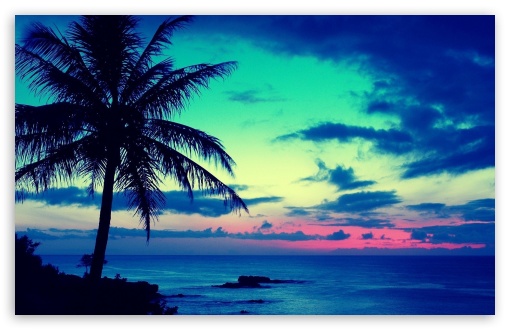 770+ Tropical HD Wallpapers and Backgrounds