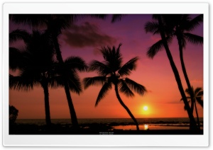 Tropical Sunset Ultra HD Wallpaper for 4K UHD Widescreen desktop, tablet & smartphone