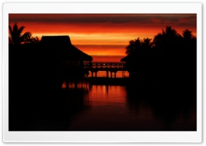 Tropical Sunset Silhouettes Ultra HD Wallpaper for 4K UHD Widescreen desktop, tablet & smartphone