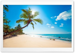 Tropical Sunshine Ultra HD Wallpaper for 4K UHD Widescreen desktop, tablet & smartphone