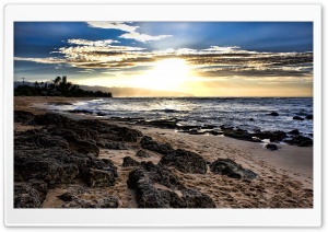 Tropical Wind Ultra HD Wallpaper for 4K UHD Widescreen desktop, tablet & smartphone