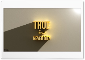 True Love Never Dies_05_Nithinsuren Ultra HD Wallpaper for 4K UHD Widescreen desktop, tablet & smartphone