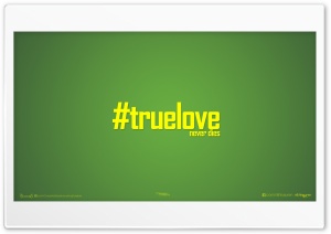 True LOVE_nithinsuren Ultra HD Wallpaper for 4K UHD Widescreen desktop, tablet & smartphone